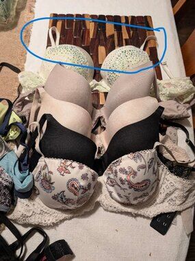 Victorias Secret Bra 32C (Circled One)